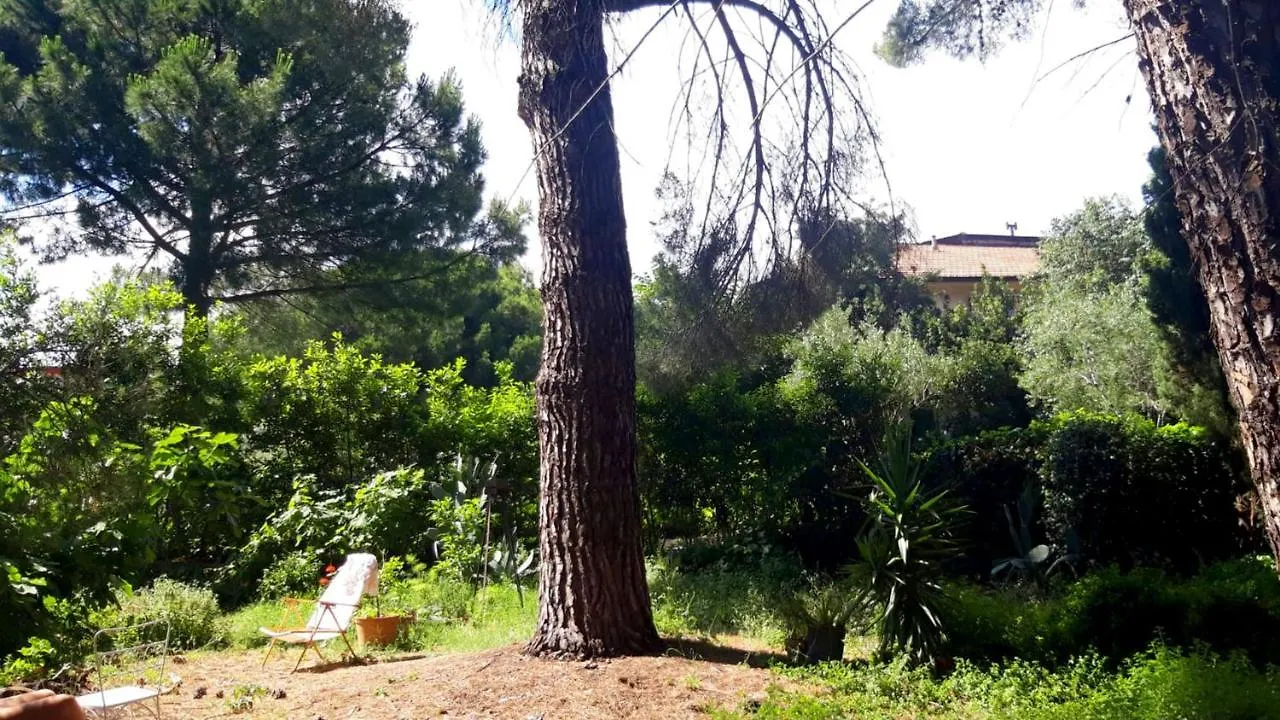 B&B Etnea Centoundici Nicolosi Frühstückspension